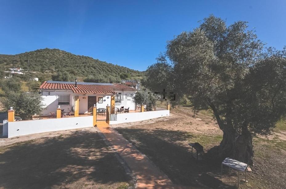 Casa Rural Los Naranjo Херес-де-лос-Кабальєрос Екстер'єр фото